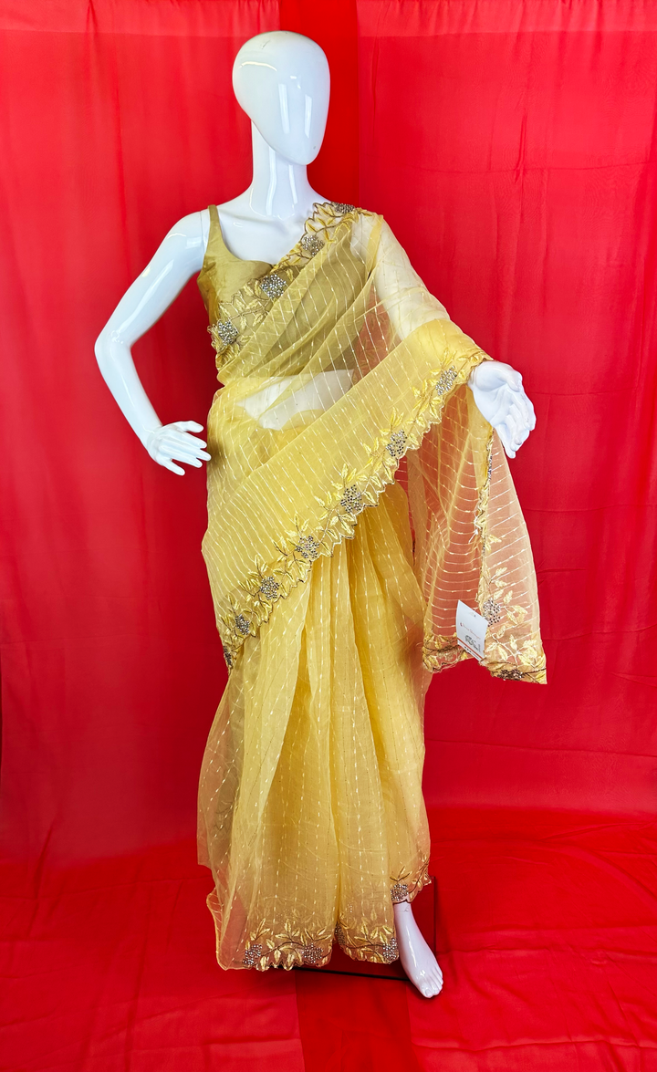 Ethereal Net Saree with Thread Work Border & Embellished Blouse Piece - Shree Shringar